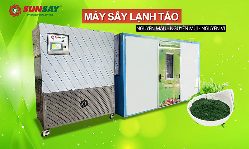 Lắp đặt máy sấy lạnh tảo 200kg tại Phú Thọ