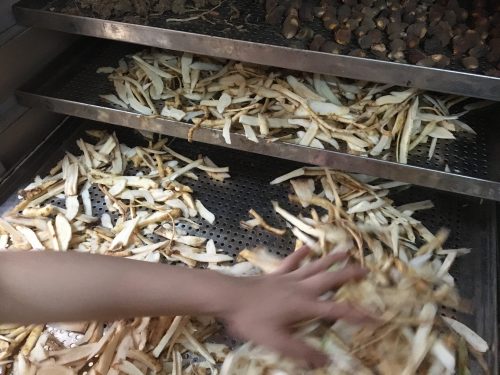 ĐInh lăng sấy bằng máy sấy
