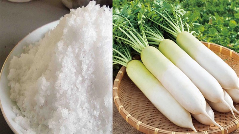 Nguyên liệu làm củ cải sấy muối