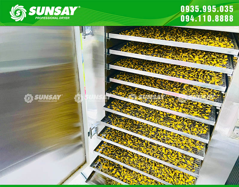 Sấy hoa cúc bằng máy sấy lạnh giúp giữ nguyên chất dinh dưỡng và dược tính của nó
