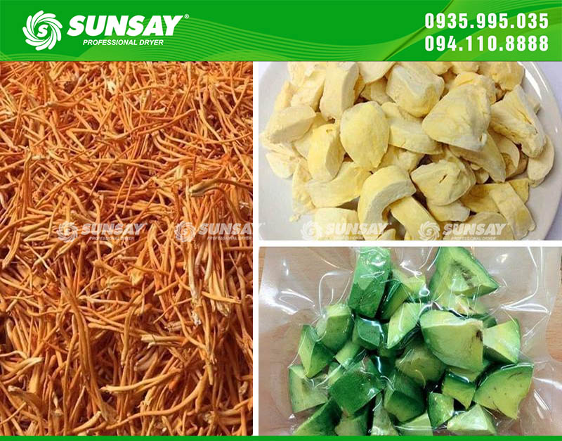 Máy sấy giòn trái cây, sấy được đa dạng