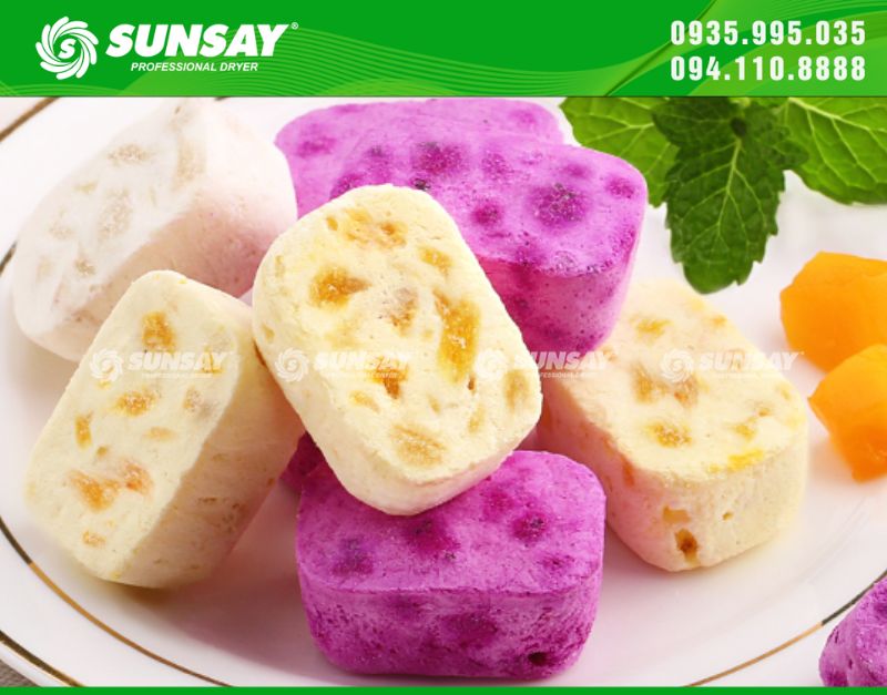 Sản phẩm từ các loại máy sấy trái cây SUNSAY