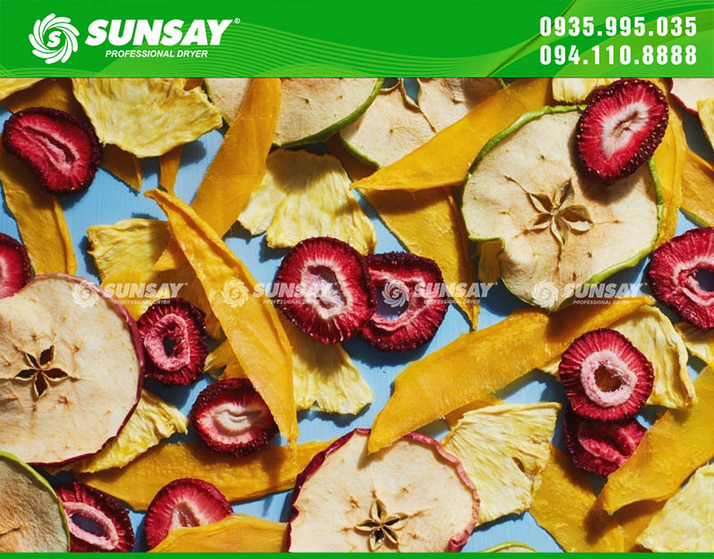 Sản phẩm từ máy sấy trái cây giá rẻ SUNSAY