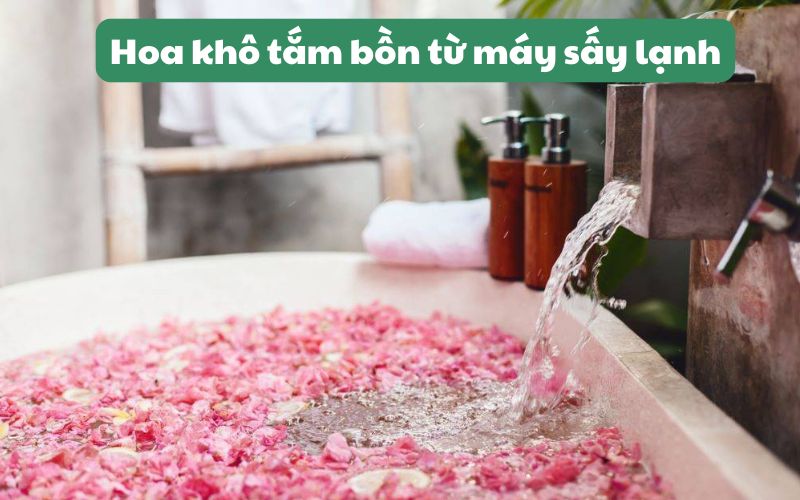 Sản phẩm hoa khô từ máy sấy lạnh SUNSAY