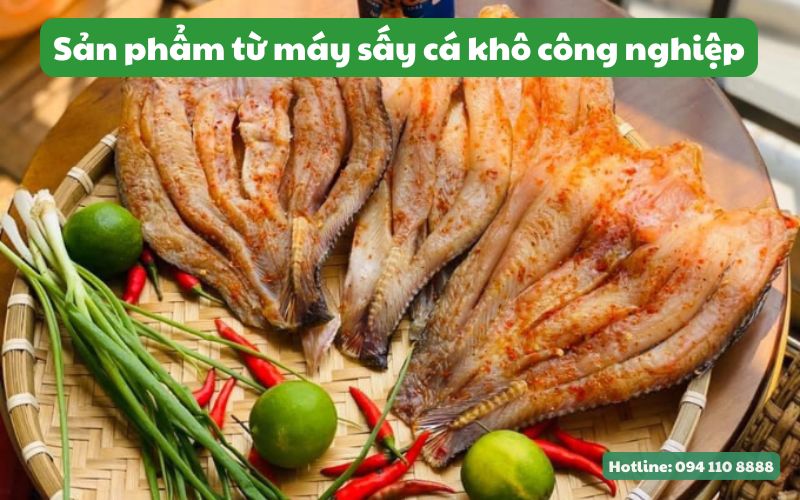 Sản phẩm từ máy sấy cá khô công nghiệp