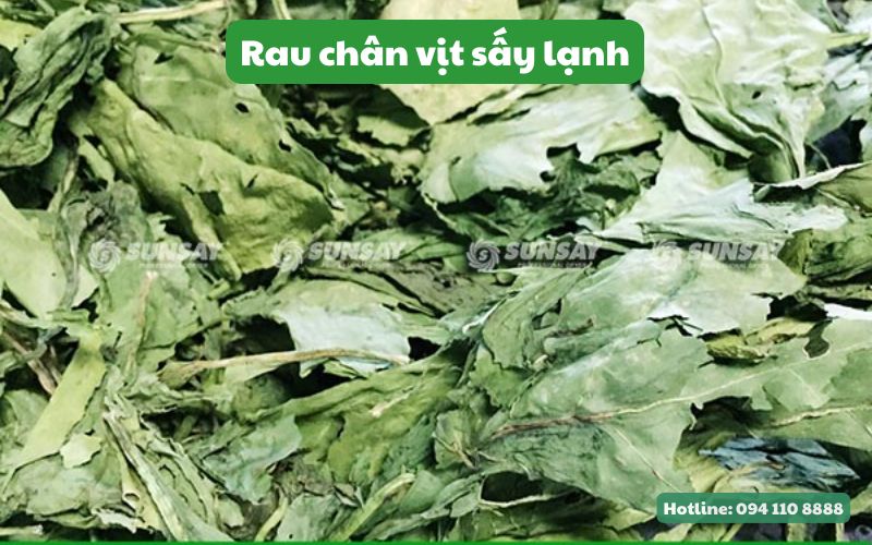 Sản phẩm rau chân vịt sấy lạnh từ máy sấy lạnh SUNSAY