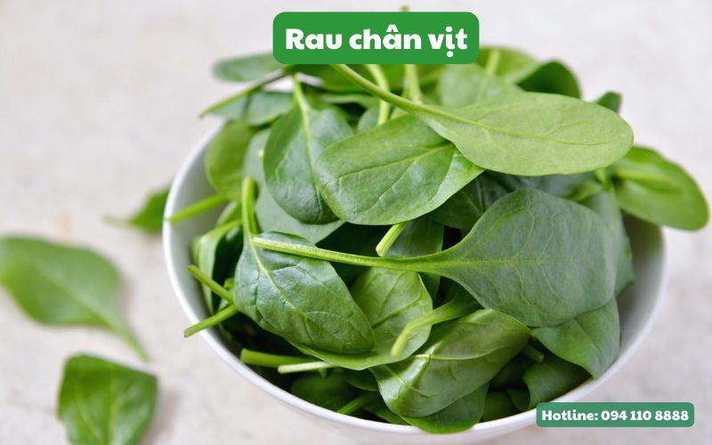 Lợi ích từ rau chân vịt sấy lạnh