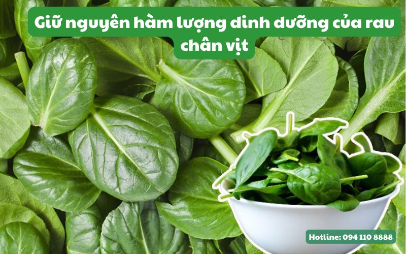 Giữ nguyên hàm lượng dinh dưỡng của rau chân vịt