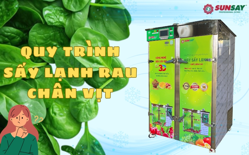 Quy trình sấy lạnh rau chân vịt giữ nguyên giá trị dinh dưỡng