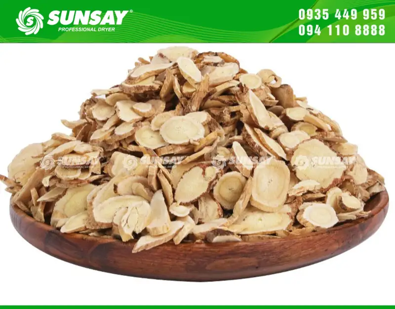 Ảnh sản phẩm máy sấy SUNSAY