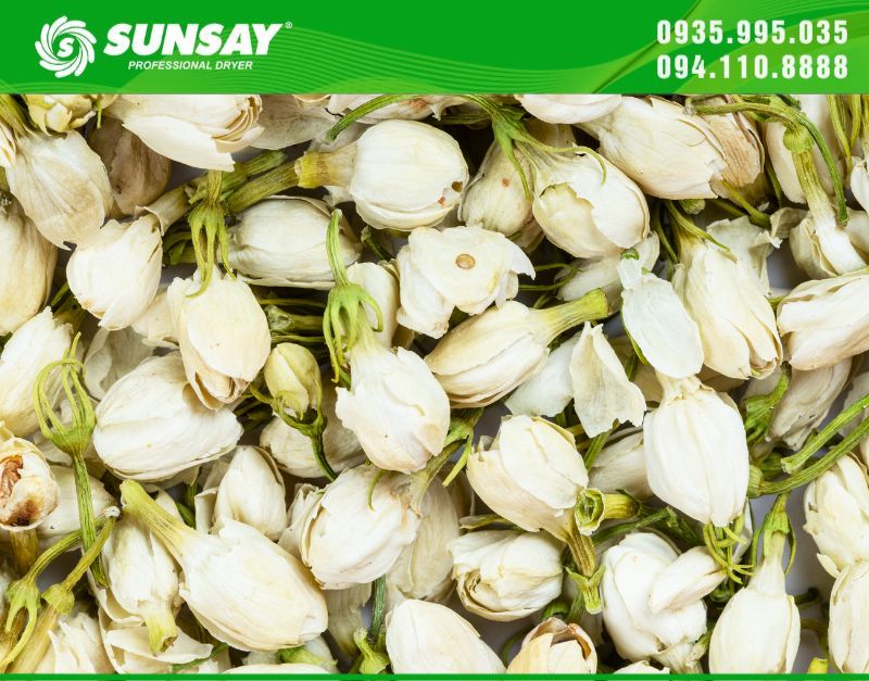 Hoa nhài sấy khô vẫn giữ được màu sắc và hương thơm nhờ máy sấy lạnh hoa nhài