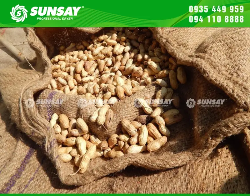 Đậu phộng sấy khô