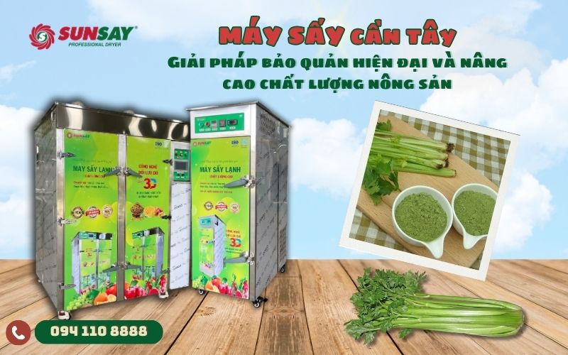 Máy sấy cần tây - Giải pháp bảo quản hiện đại và nâng cao chất lượng nông sản