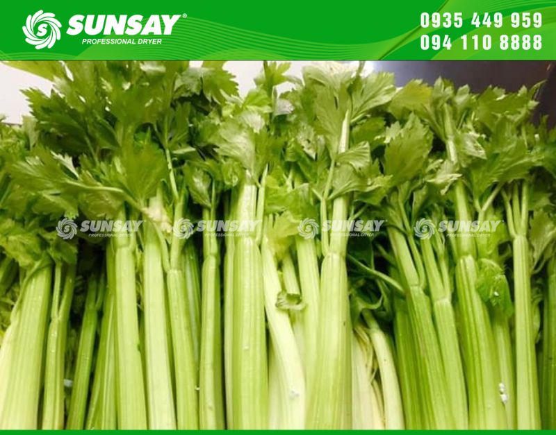 Máy sấy cần tây