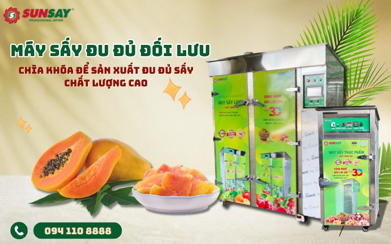 Máy sấy đu đủ đối lưu