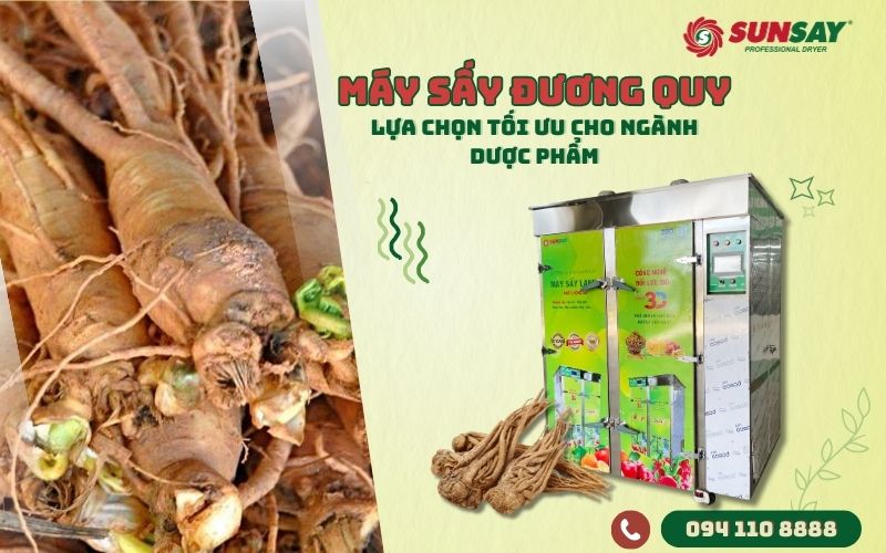Máy sấy đương quy