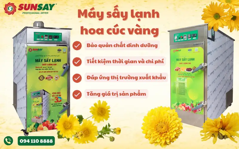 Máy sấy lạnh hoa cúc vàng