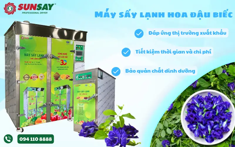 Máy sấy lạnh hoa đậu biếc