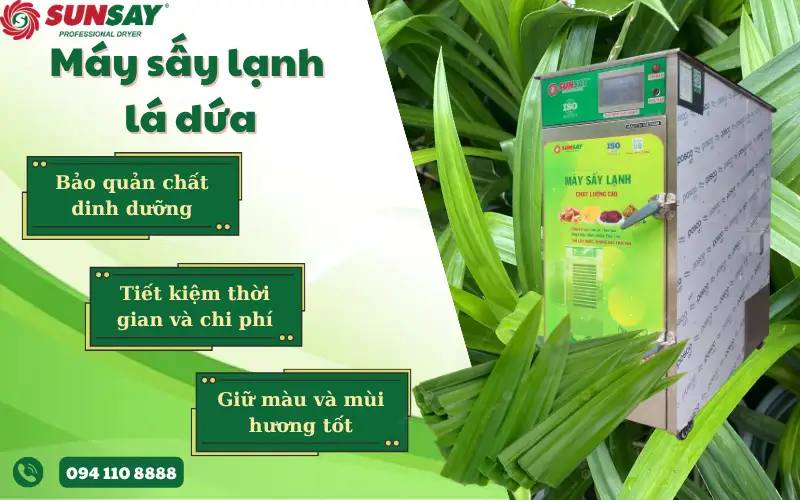 Máy sấy lạnh lá dứa