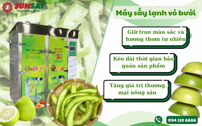Máy sấy lạnh vỏ bưởi