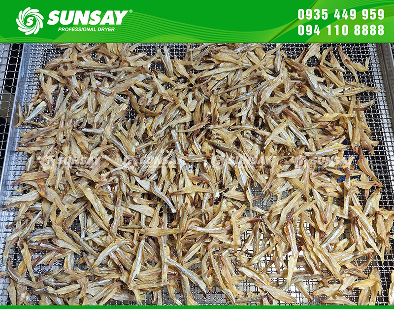 Tủ sấy cá cơm